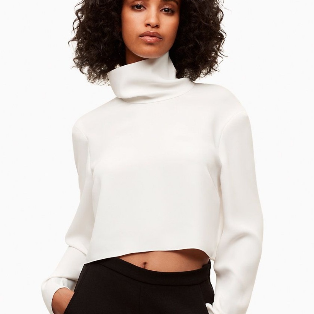 Aritzia Babaton Rembrandt Blouse